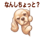 841298047