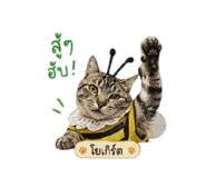 841298841