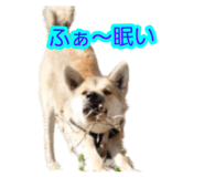 841299897