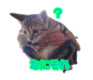 841299899