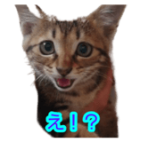 841299900