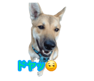 841299901