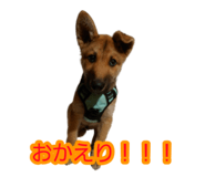 841299902