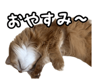 841300779