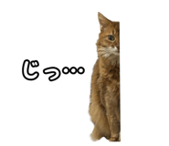 841300786