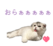 841300925