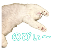 841300927