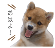 841301001