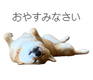841301002