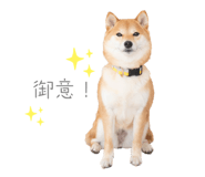 841301003