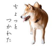 841301004