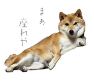 841301006