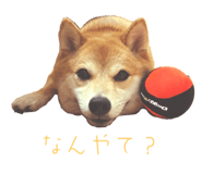 841301007