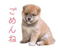 841301008