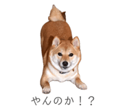 841301009
