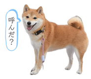 841301014