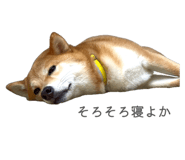 841301015