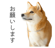 841301016