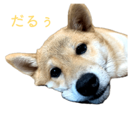 841301017