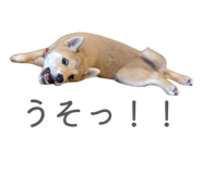 841301018