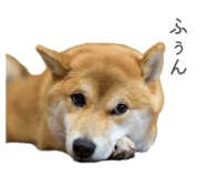 841301019
