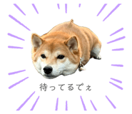 841301020