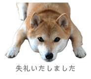 841301023