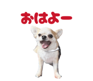 841301417