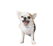 841301418