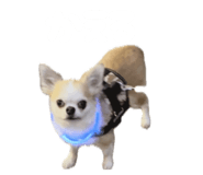 841301421