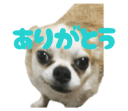 841301425
