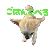 841301428