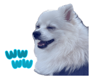 841301565