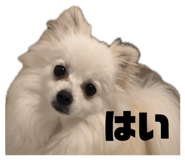 841301566