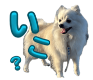 841301567