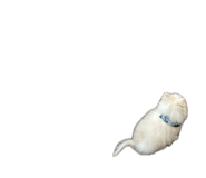 841301568