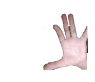 841302258
