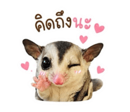 841303228