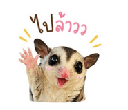 841303229
