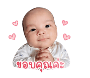 841303647