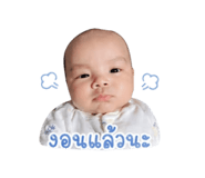 841303651