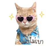 841303956