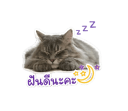 841304959