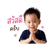 841305113