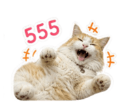 841306651