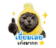 841307435
