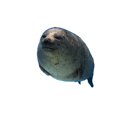 841308248