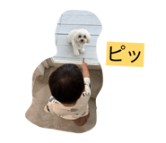 841308249