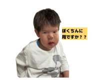 841308251
