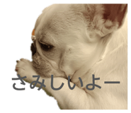 841308288